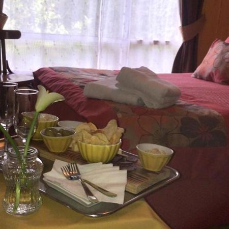 Hostal Del Muelle Valdivia Extérieur photo