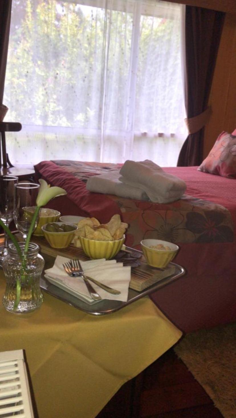 Hostal Del Muelle Valdivia Extérieur photo